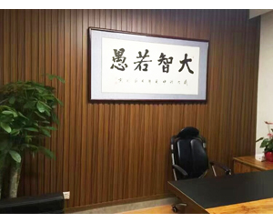 书法装裱 大智诺愚 4尺整张 字画装裱209