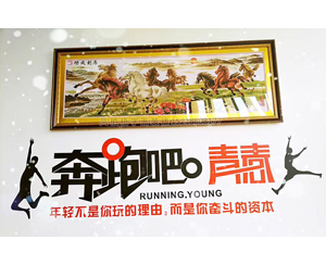 十字绣装裱 马到成功 卡纸装裱213