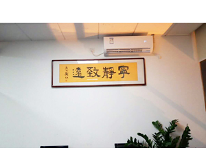 医药公司王总多幅字画装裱、字画安装223