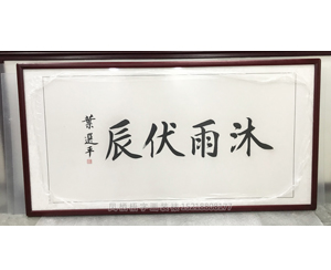 中共中央委员 叶选平 字画装裱《沐雨伏辰》